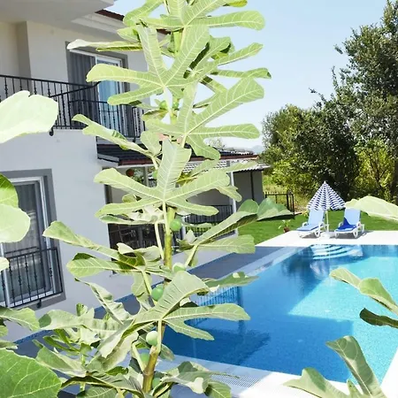 Private With Swimming Pool In Dalyan *
